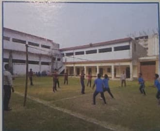Volleyball & Sports on Green Grounds